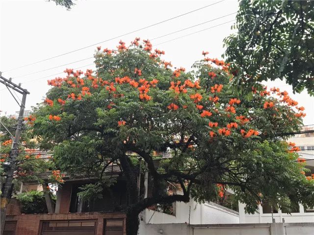 304am永利集团